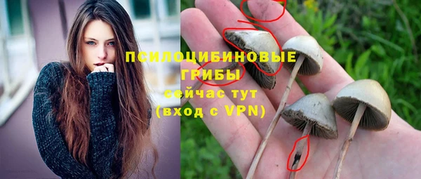 молекула духа Алексин
