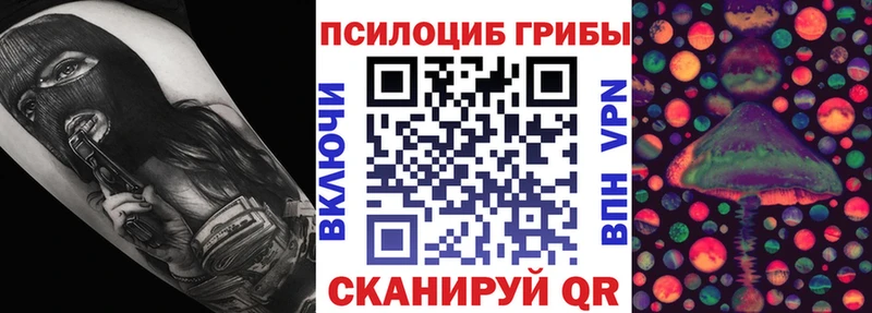Псилоцибиновые грибы Cubensis Октябрьский